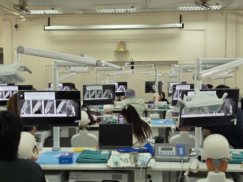 650738872 1471915278056919 2288561380404540291 n