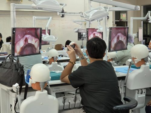 650765489 1471915794723534 4654644704771413043 n