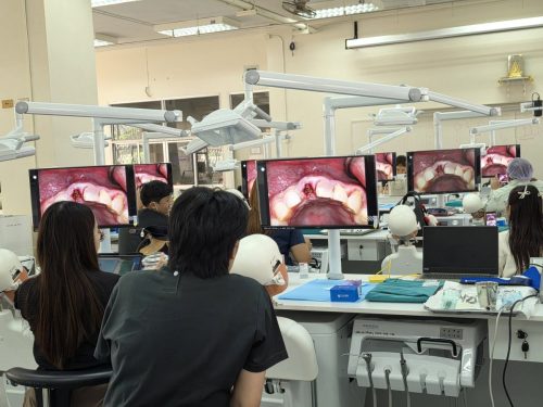 652318965 1471915741390206 8331666378505630289 n