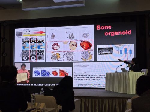 581941980 1375878267660621 8843607553556007318 n