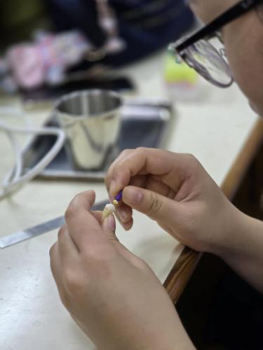 485795056 1182257000356083 251411866082944871 n