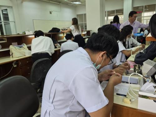 491814460 1205802214668228 1778922889411915011 n