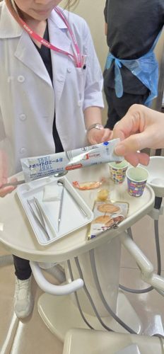 571203555 1358823892699392 8829477786946297544 n