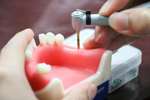 514104147 1262305719017877 2139200212514871411 n