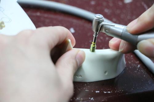 514275477 1262306992351083 5090765786887806455 n