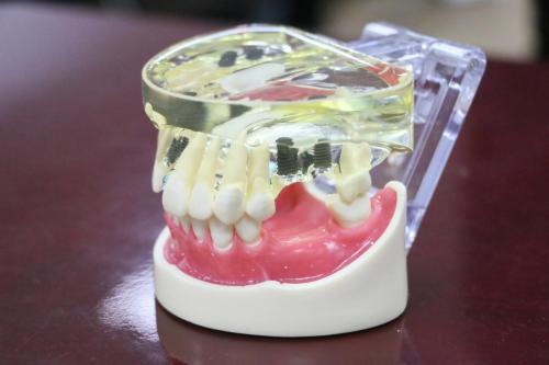 515267808 1262306165684499 3747876242628834331 n