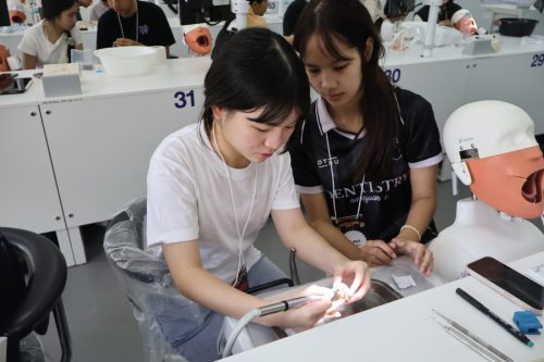 659079633 1486006439981136 2899761194069920546 n